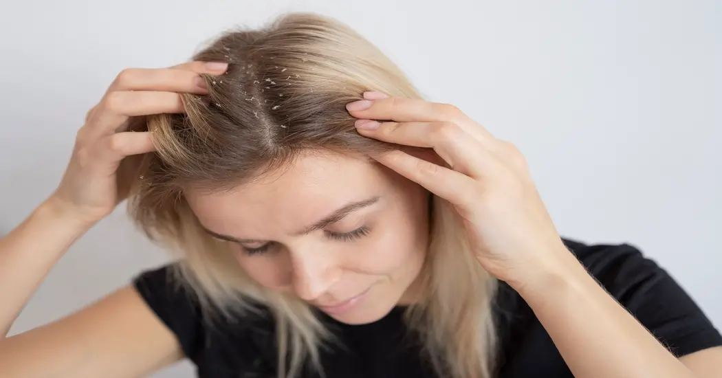 Hair treatment in Jaipur for head lice